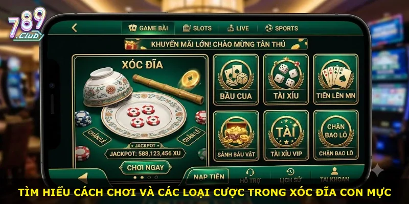 Tìm hiểu cách chơi và các loại cược trong xóc đĩa con mực